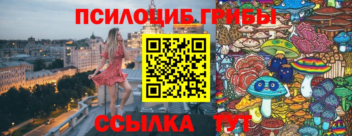 Псилоцибиновые грибы прущие грибы Орехово-Зуево