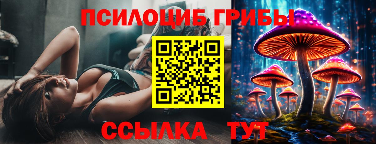 где найти наркотики  Псилоцибиновые грибы GOLDEN TEACHER  Орехово-Зуево  Вход с VPN  Псилоцибиновые грибы GOLDEN TEACHER 